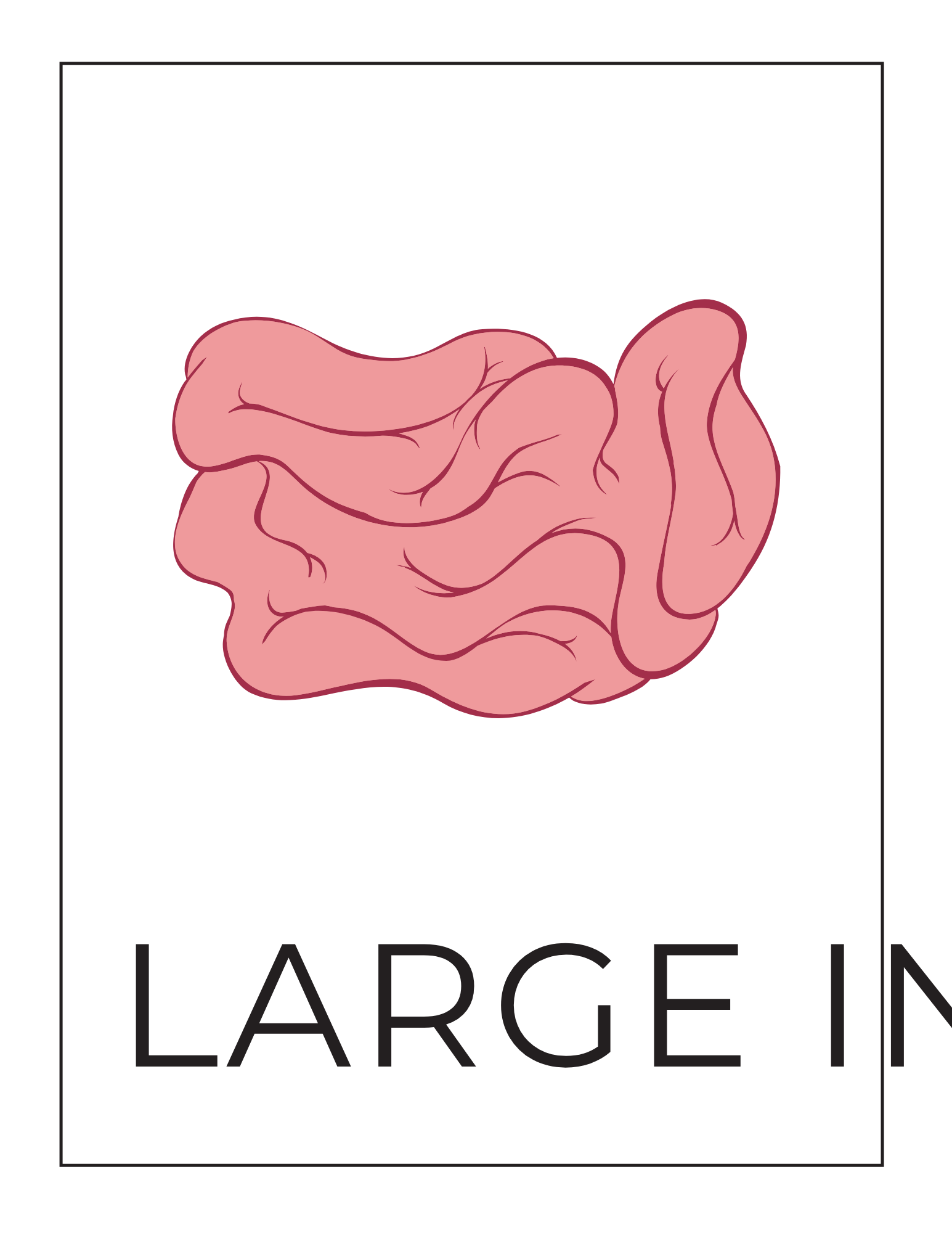 Human Body Systems