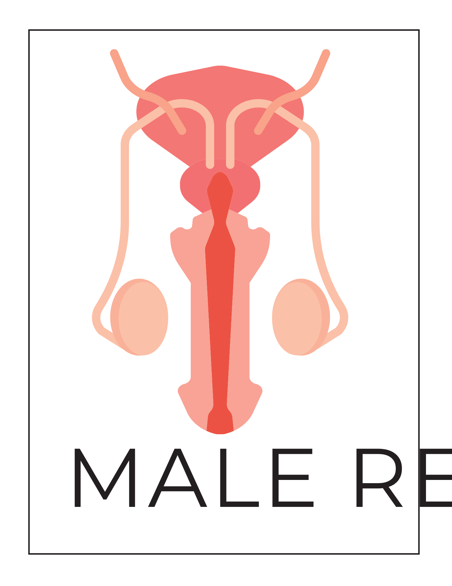 Human Body Systems