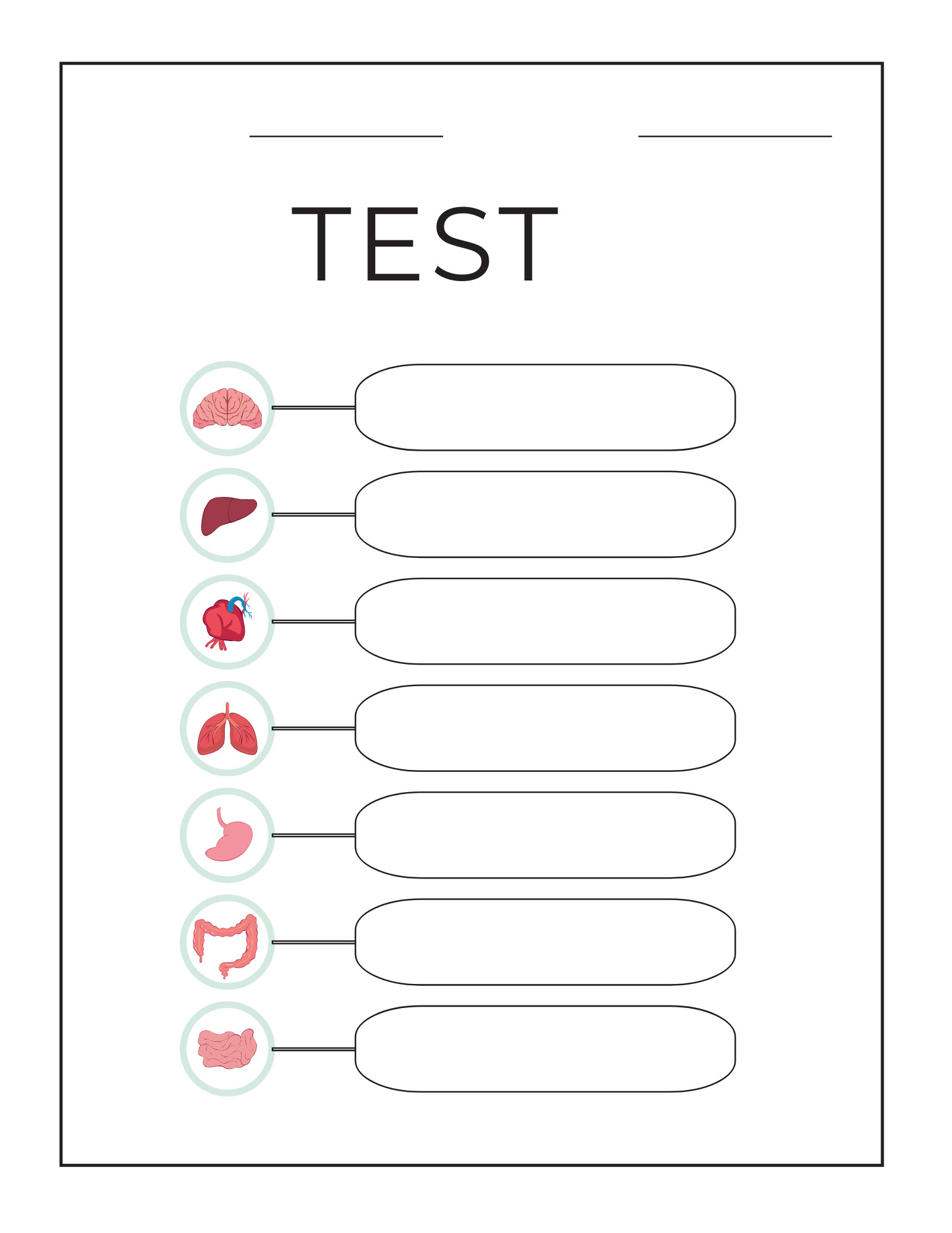 Human Body Systems