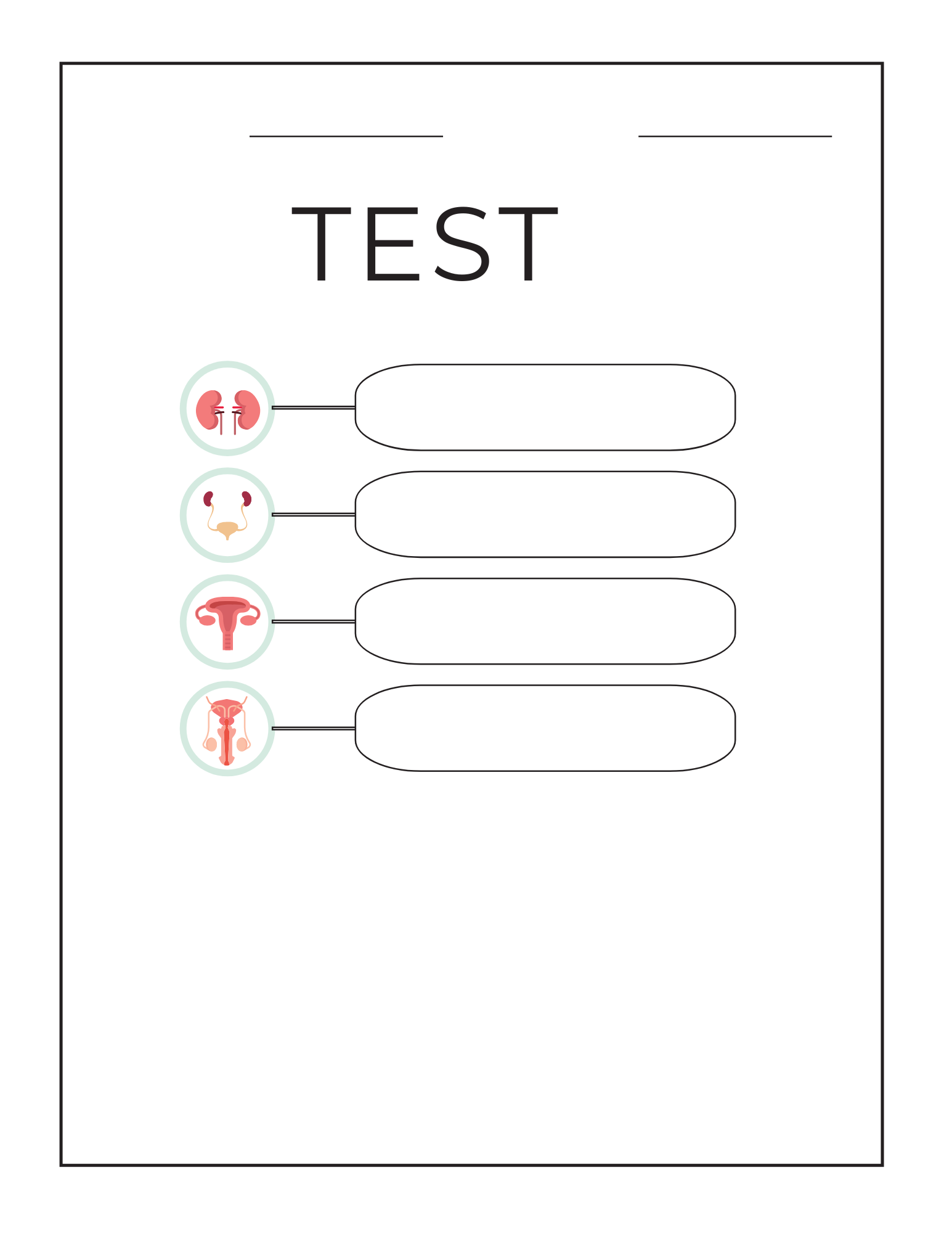 Human Body Systems