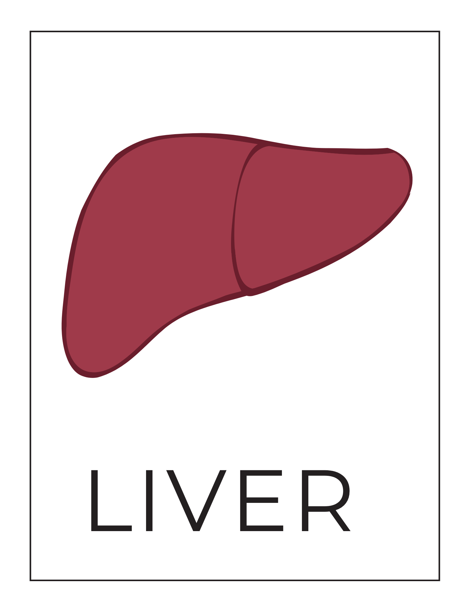 Human Body Systems
