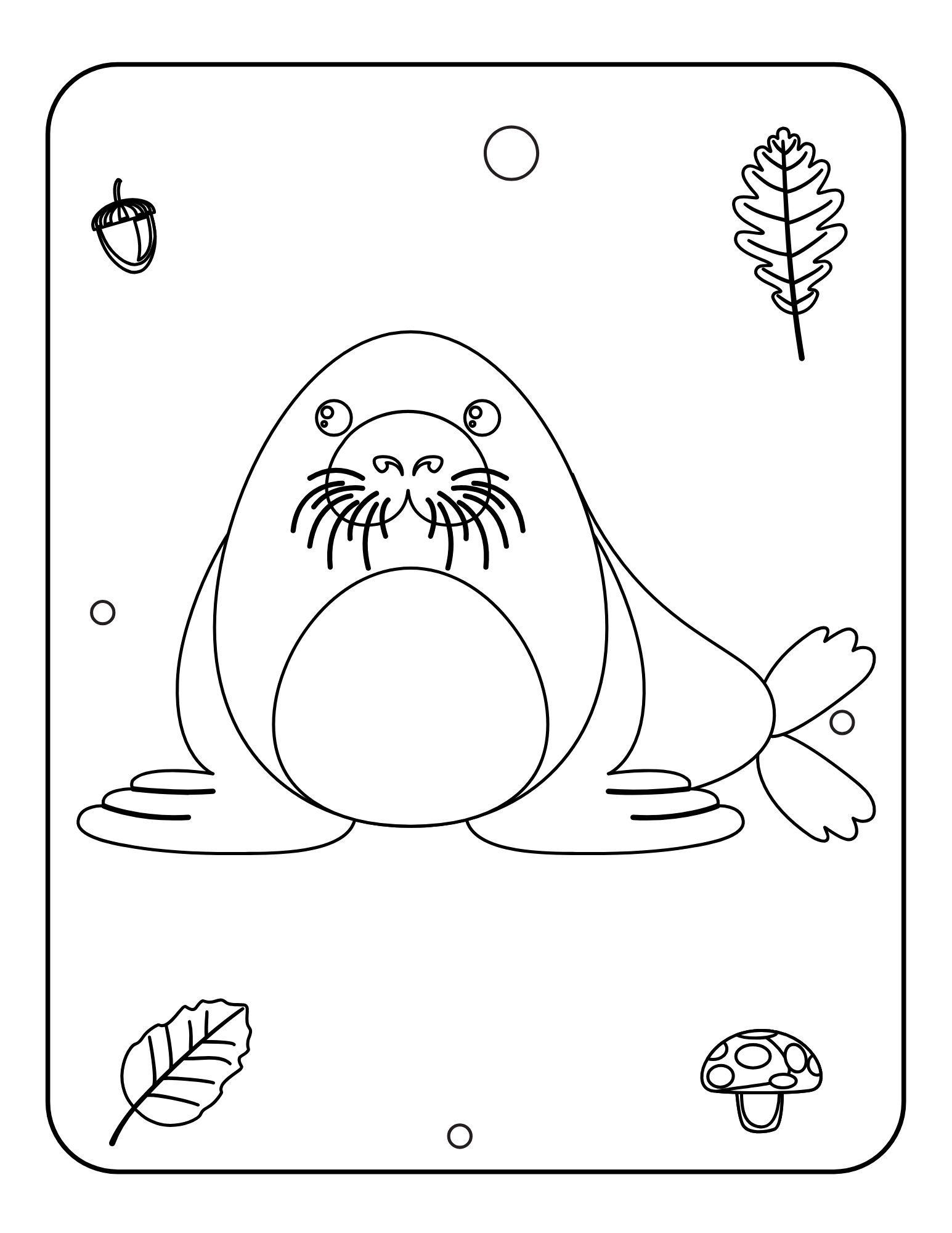 Animal Coloring Book