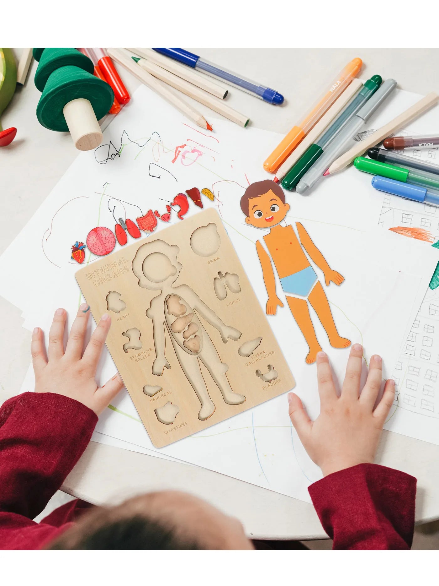 Montessori Jigsaw Puzzle Of Human Structure